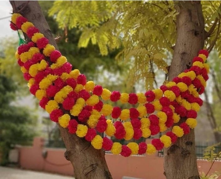 Diwali Flower Lines – Mixed Colour Marigold Flowers